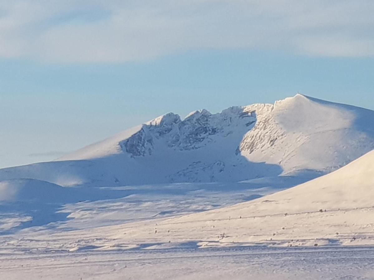 Snohetta Camping Hjerkinn Buitenkant foto