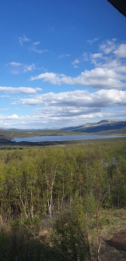 Snohetta Camping Hjerkinn Buitenkant foto